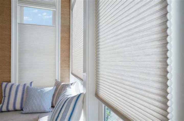 What are Duette blinds