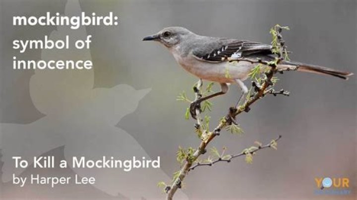 What are motifs in To Kill a Mockingbird