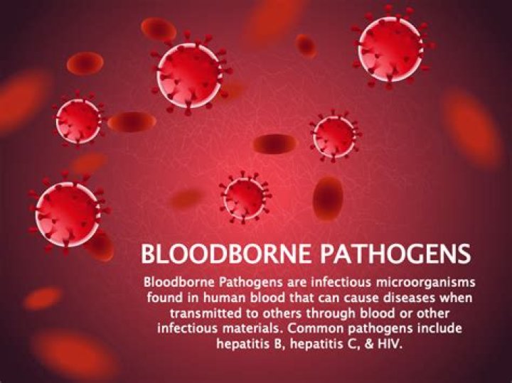 What are some examples of bloodborne pathogens