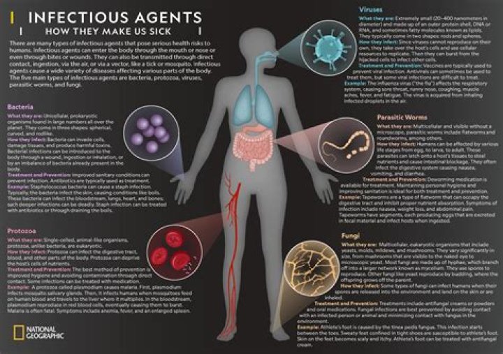 What are sources of infectious agents