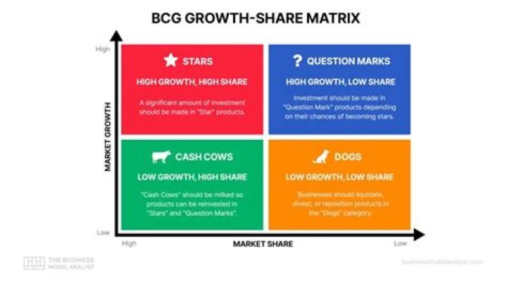 What are stars according to the BCG Growth Share Matrix