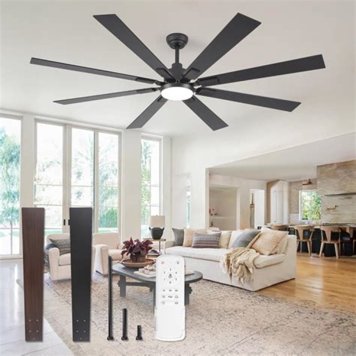 What are the best ceiling fans