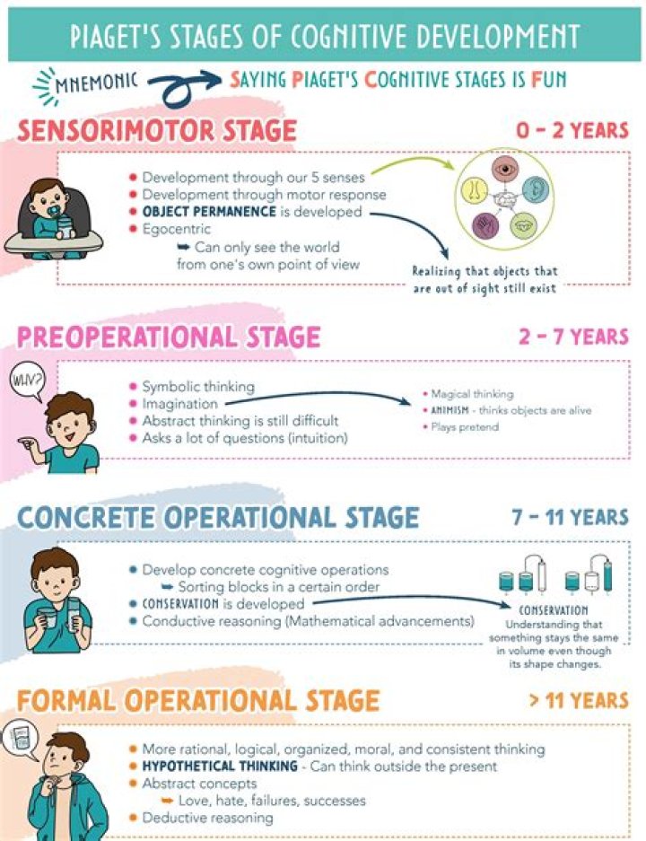 What are the cognitive stages of development
