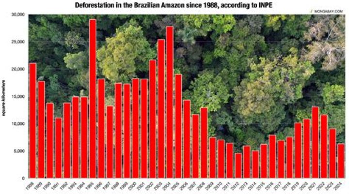 What are the consequences of rainforest deforestation