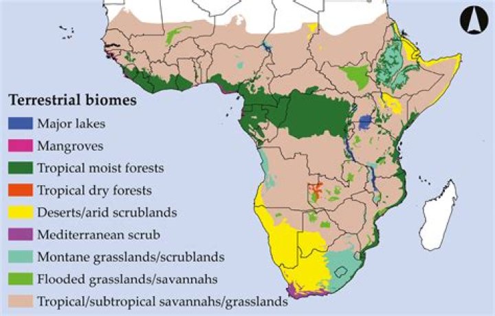 What are the different biomes in Africa