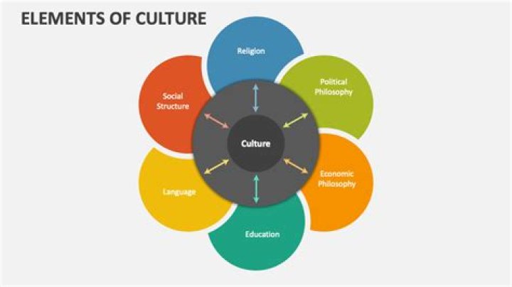 What are the element of culture