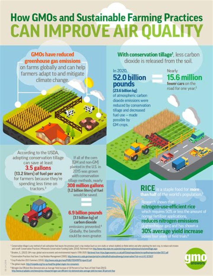 What are the main GMO crops