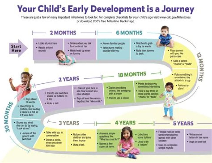 What are the major milestones of middle childhood