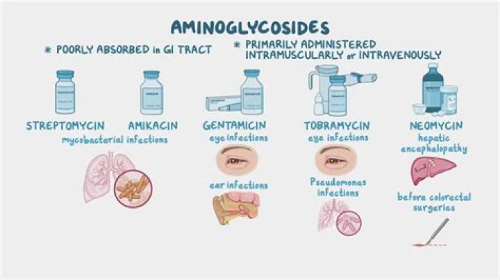 What are the toxic effects of aminoglycosides