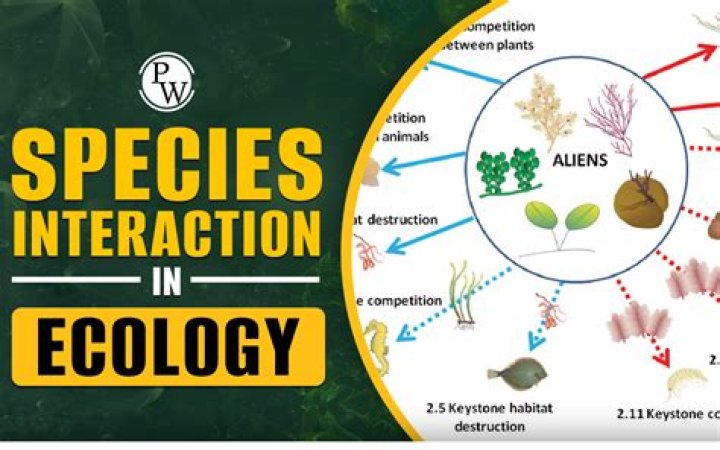 What are the types of ecological interactions