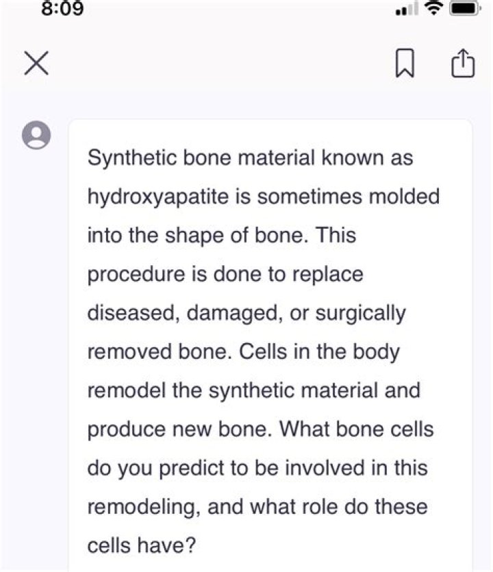 What bone cells do