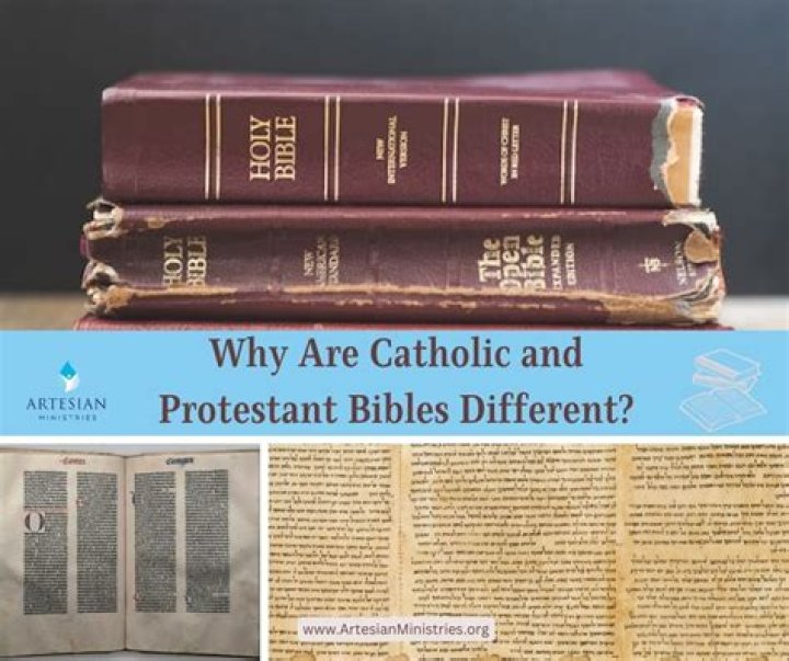 What books of the Bible did Protestants remove