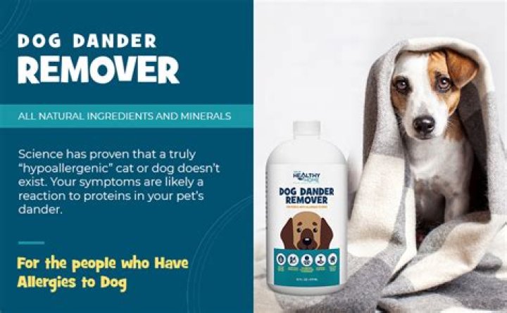 What can I take for dust and dander allergies