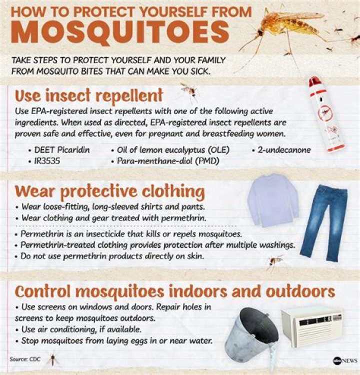 What can you use to attract mosquitoes