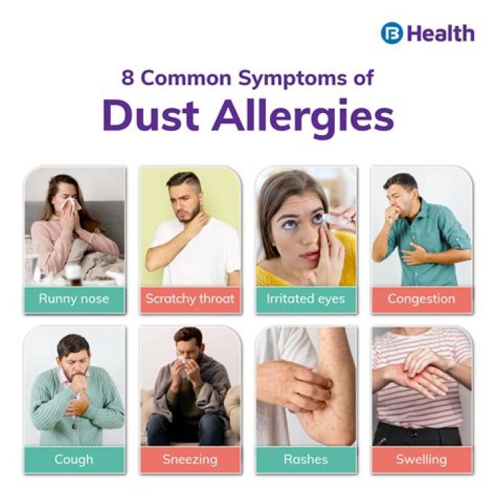 What causes high dust and dander allergies