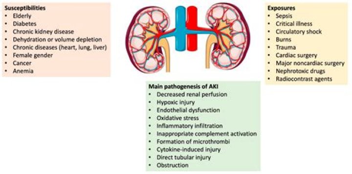 What causes renal artery disease