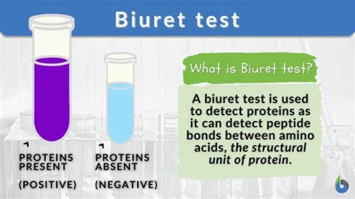 What Colour does biuret reagent turn if protein is present