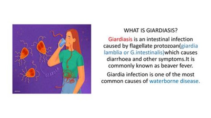 What disease is caused by Giardia intestinalis