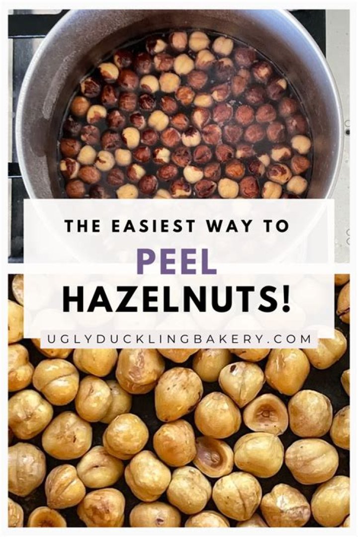 What do Oregonians call hazelnuts