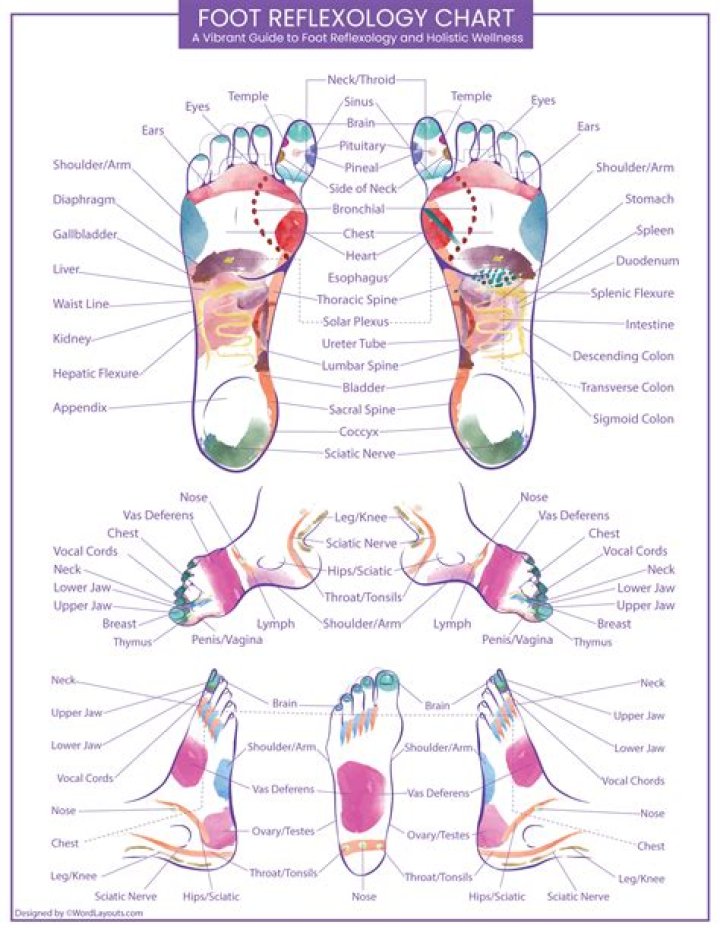 What do the toes represent in reflexology