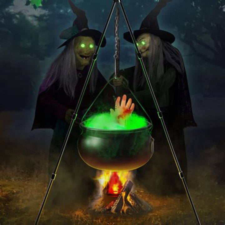 What do the witches put in the cauldron in Macbeth