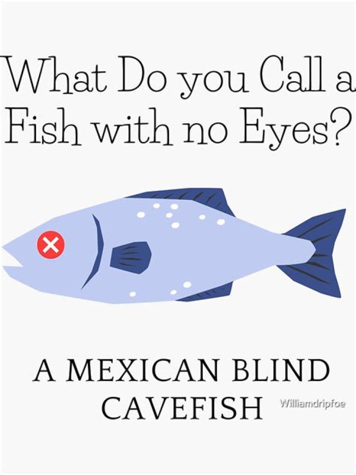 What do you call a decorative plate