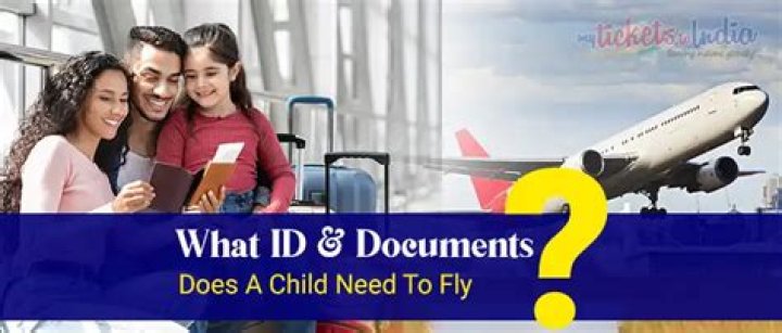 What documents do I need to fly domestically