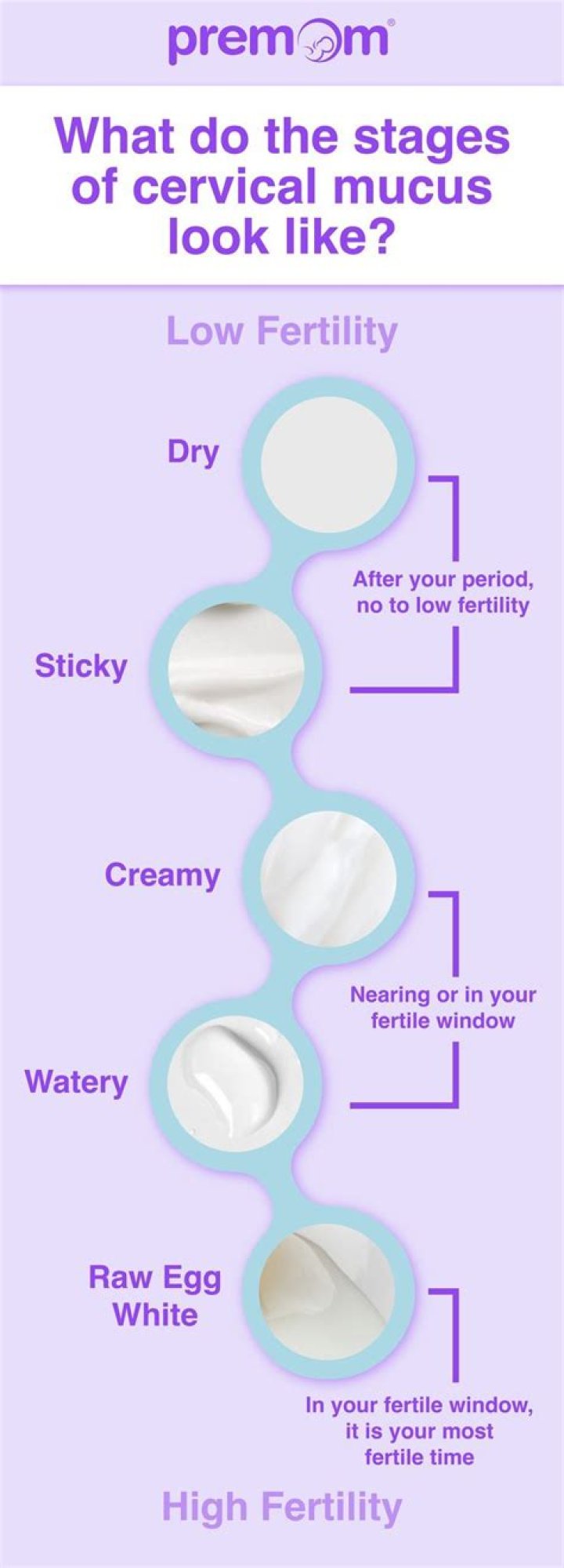 What does cloudy cervical mucus mean