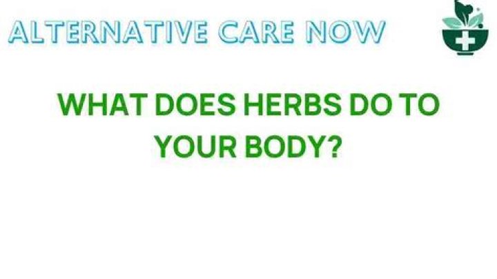 What does herbs do to your body