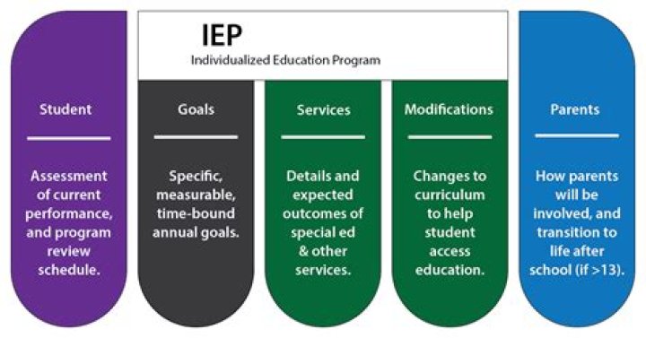 What does IEP stand for in education