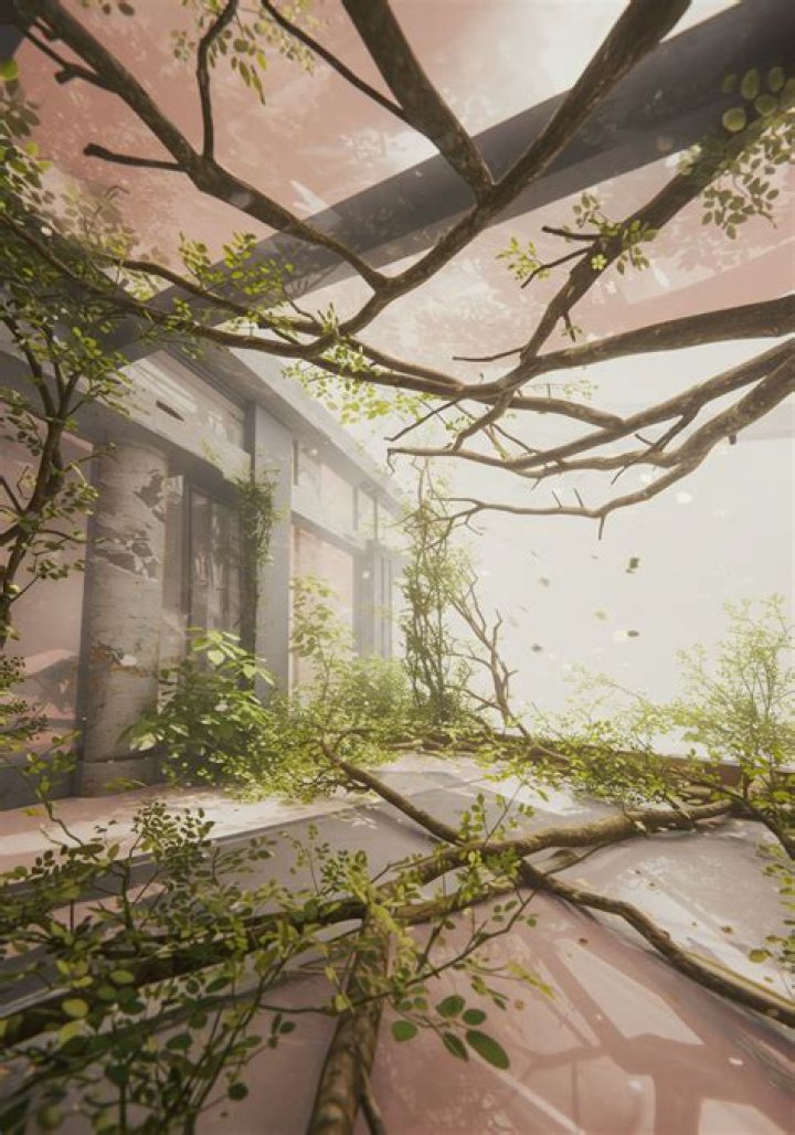 What does Ricoeur mean by identity