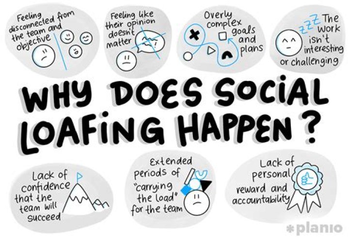 What does social loafing mean