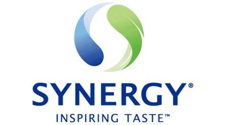 What does synergy company do