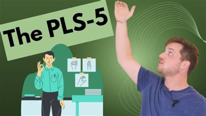 What does the PLS 5 assess