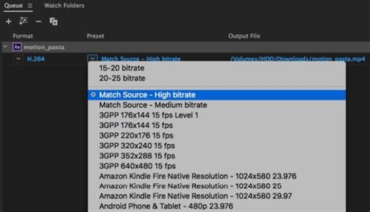 What does the preset match Source do