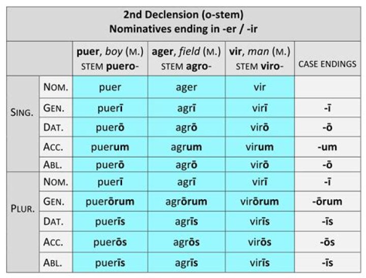 What does the word puer mean in Latin