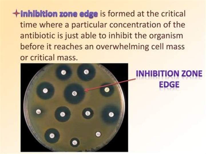 What does zone of inhibition mean