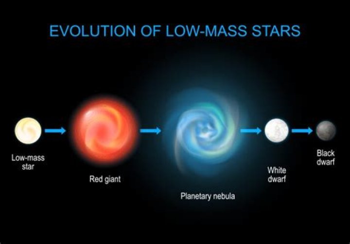 What elements do low mass stars produce