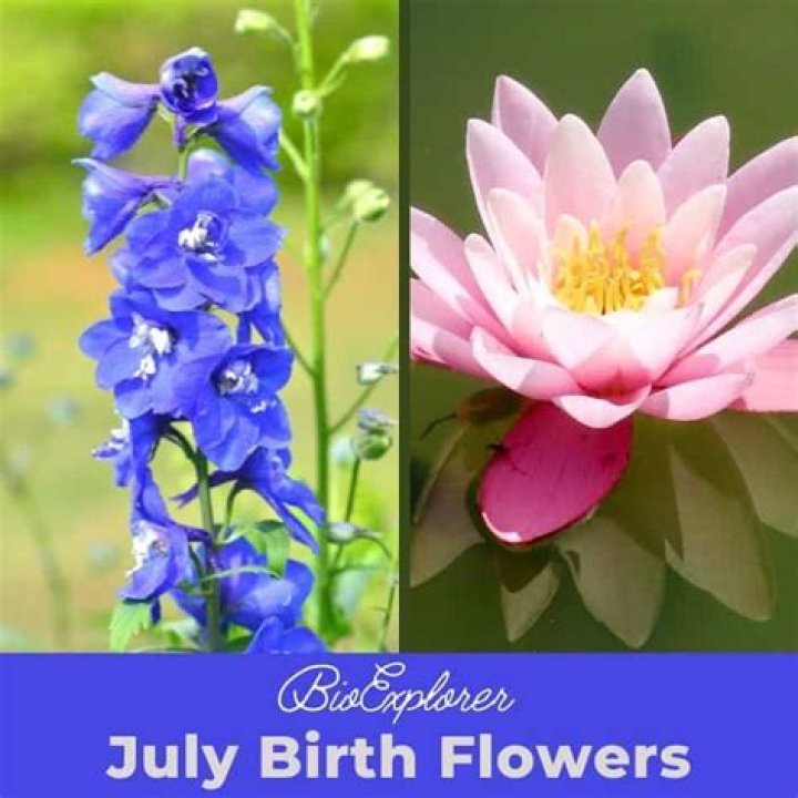 What flowers come out in April