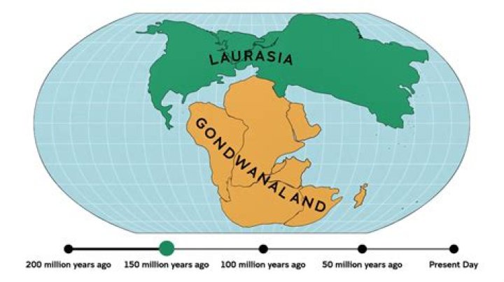 What happened to Gondwanaland