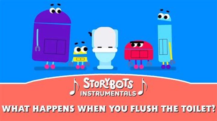 What happens when you flush the toilet and the water rises too high?