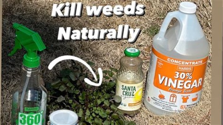 What household chemical will kill weeds