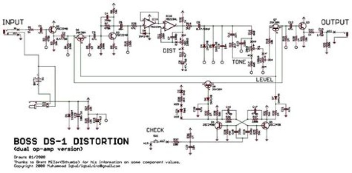 What is a ds1 circuit