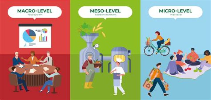 What is a macro level social problem