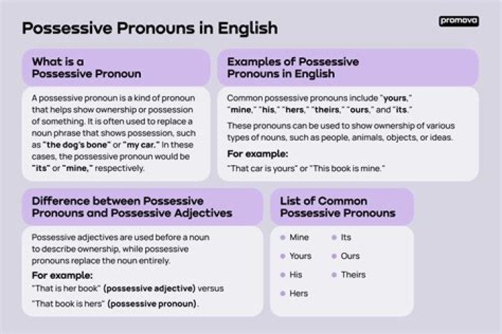 What is a possessive pronoun in German