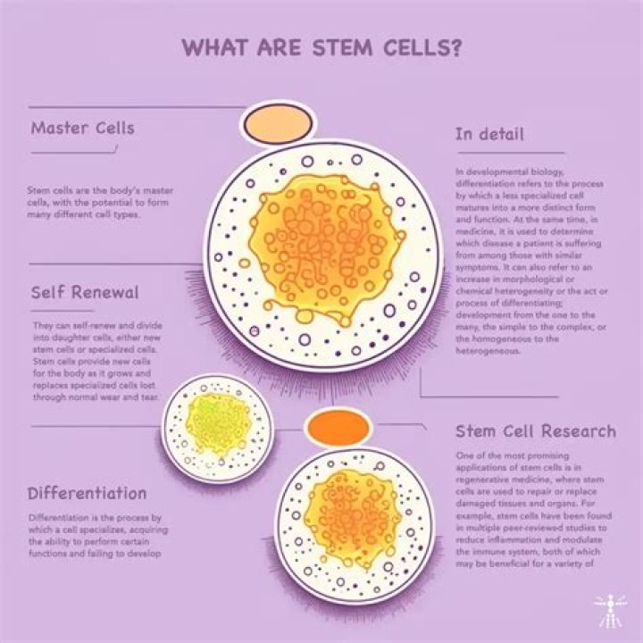 What is a stem cell technology