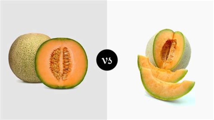 What is an Athena melon