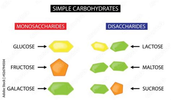 What is an example of a simple carbohydrate