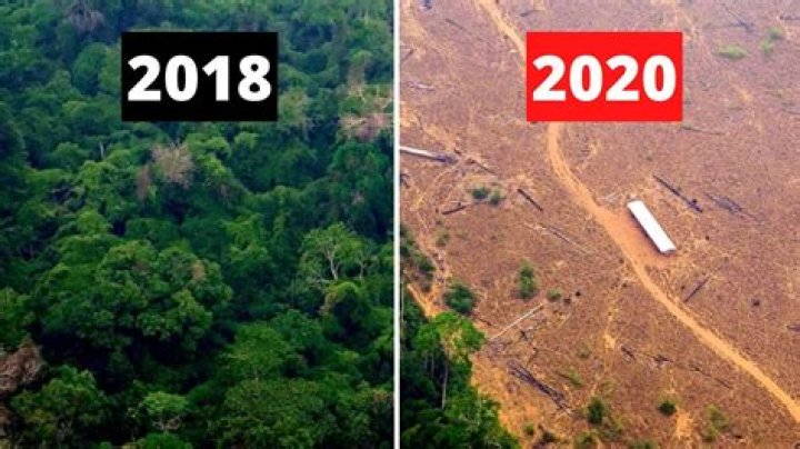What is destroying the Atlantic Forest