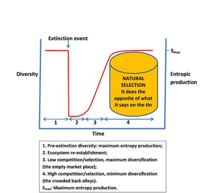 What is entropy of formation